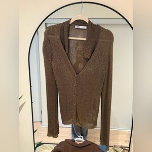 Zara Metallic Knit Sweater